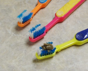 toothbrushes